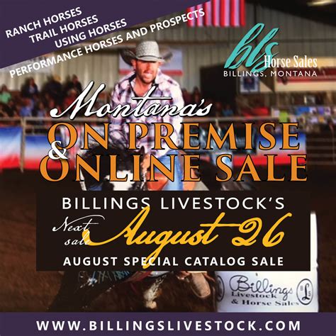 Billings livestock - Paperwork can be available at 9 a.m. on Monday. For more info at 406-245-4151. We’ll have you good-to-go. Buy with confidence. HAULERS, HOLDING, AND INSURANCE. We make it simple!! Billings Livestock has a hauling coordinator on site at every on-premise event who will assist in procuring hauling for your purchases.